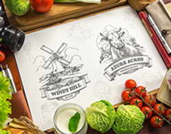 Фондовый рынок, Daily history за 18 ноября 2025 г.