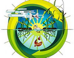 Операция на катаракту в Казани: верните четкое зрение с центром «Омикрон»