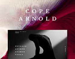 Как дренажные системы помогают эффективно управлять водными потоками в общественных и частных зонах